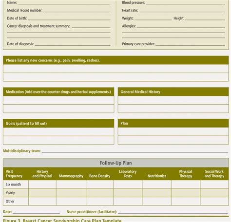 Get Our Image of Survivorship Care Plan Template | How to plan, Online ...