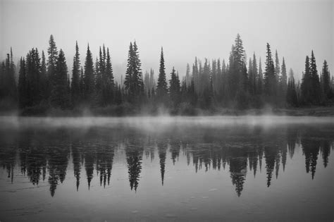 Reflection Lake by Lawrence Ripsher / 500px | Nature photography, Forest tattoos, Tree reflection