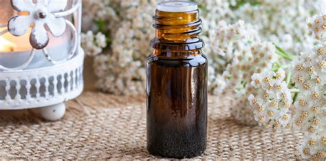 8 Powerful Yarrow Oil Benefits for Skin, Hair, and Nails — Wholesale ...