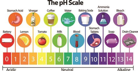 What Is Alkaline Water and What Are the Benefits?