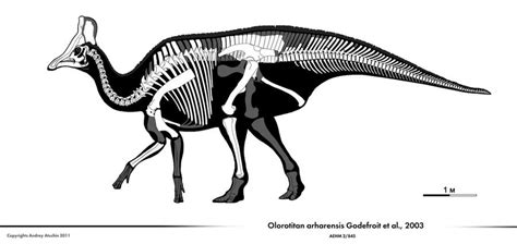 Olorotitan by Olorotitan on DeviantArt