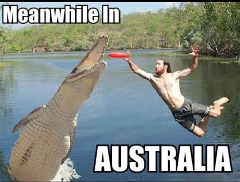 Aussie, Aussie, Aussie...ha! | Meanwhile in australia, Funny pictures, Meanwhile in