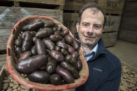 Black potatoes are red hot for trend-setting chefs - The Sunday Post