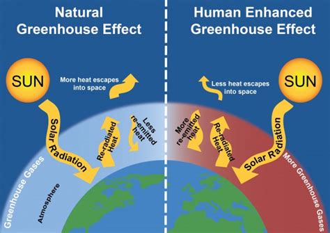 Erosion of ozone layer global warming phenomenon greenhouse effect – Artofit