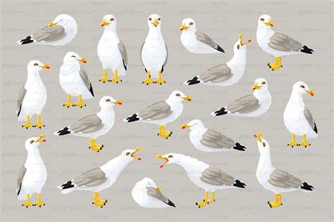 vector seagull sea gull set | Graphic Patterns ~ Creative Market