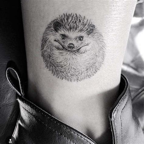 Small Hedgehog Tattoo on Ankle - Best Tattoo Ideas Gallery | Hedgehog ...