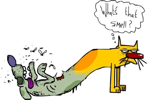 Dead Dog by W-P-S on DeviantArt