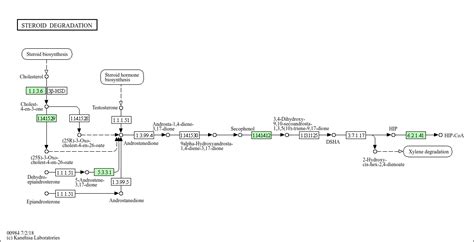 KEGG PATHWAY: Steroid degradation - Streptomyces griseus