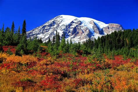 The 11 Best Places In Washington To See Brilliant Fall Colors | Mount ...