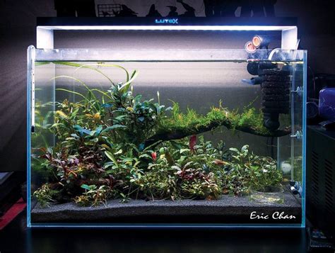 Simon's Aquascape Blog