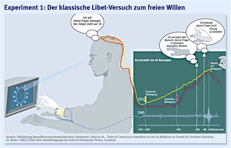 Das Libet Experiment | Hypno Institut