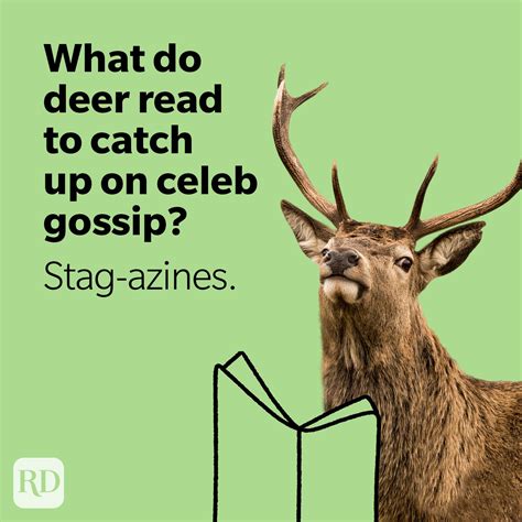 50 Deer Puns That Make the Heart Grow Fawn'der | Funny Deer Jokes