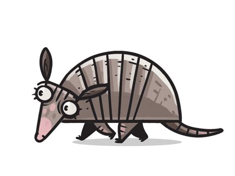 Armadillo by Gökçe Akgül on Dribbble