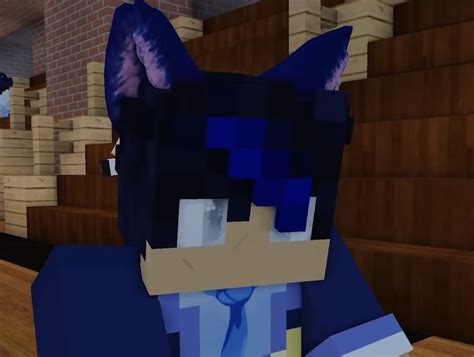 Pin by Vicki Bliss on Aphmau | Aphmau, Aphmau characters, Aphmau ein