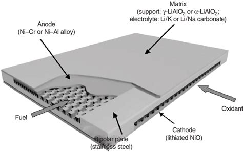 The molten carbonate fuel cell (MCFC) bipolar cell package... | Download Scientific Diagram