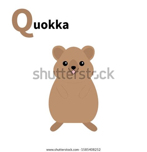 Q Quokka: Over 116 Royalty-Free Licensable Stock Vectors & Vector Art ...