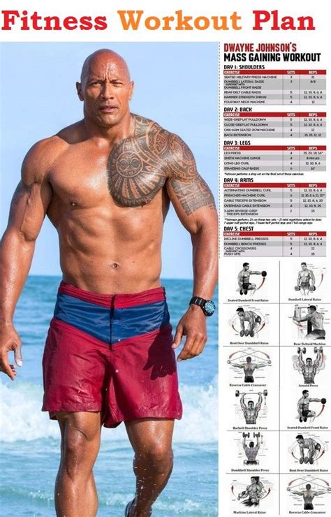 Fitness Workout Plan | Dwayne johnson workout, Workout gym routine, Workout