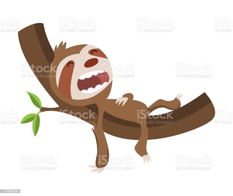 Cute Baby Sloth Sleeping On Branch Vector Funny Sloth Illustration For Summer Design Adorable ...