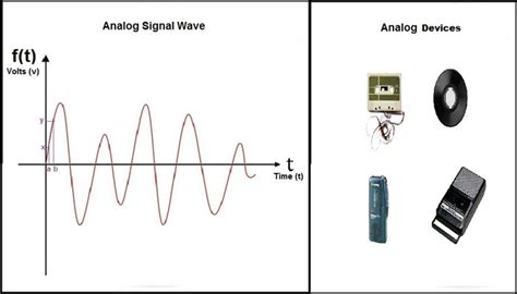 most networking media send data using analog signals - sugarysara13