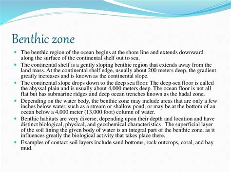 zonations of sea and ecological classification of marine biota