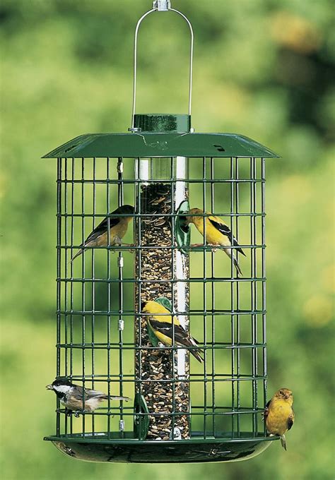 Large bird and squirrel-proof tiny songbird feeder. | Squirrel proof ...