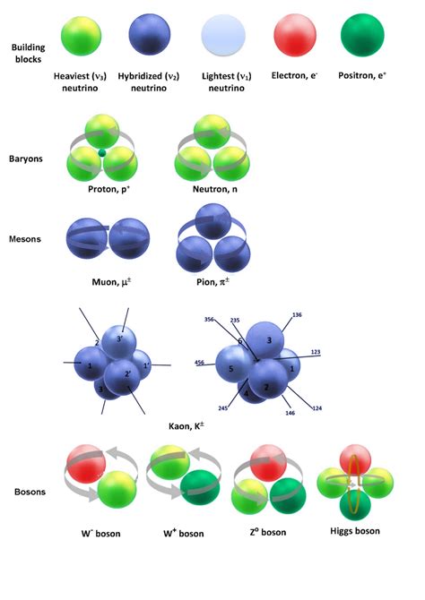 The elementary particles of the Rotating Lepton Model (RLM). (top line)... | Download Scientific ...