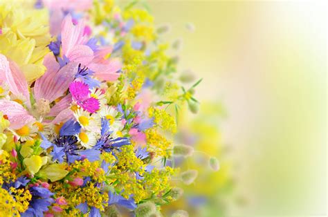 Pretty Flowers Wallpapers - Wallpaper Cave