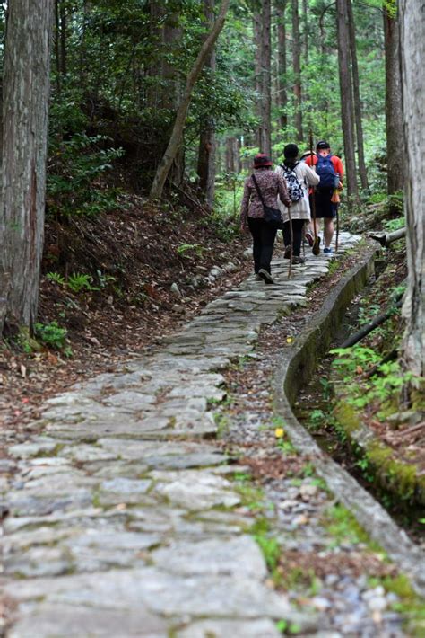 Walk the Kumano Kodo Trail - SNOW MONKEY RESORTS