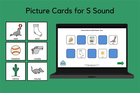 Picture Cards for S Sound | Speech Therapy Ideas