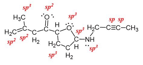 Sp Sp2 Sp3 Hybridization - sharedoc