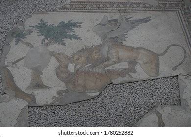 Ancient Mosaics Great Palace Constantinople Istanbul Stock Photo ...