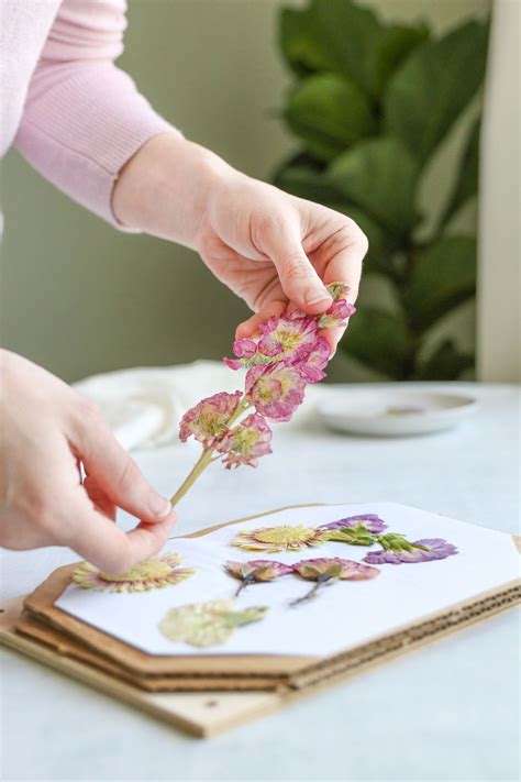 How To Press Flowers + Make a DIY Flower Press | Pressed flowers diy, Pressed flower crafts ...