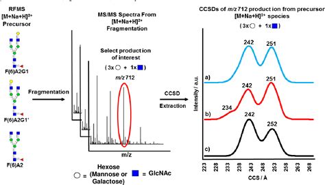 Figure 2 from Ion-Mobility Mass Spectrometry of Glycans and ...