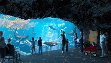 Omaha's Henry Doorly Zoo gives a construction update on the sea lion habitat | KPTM