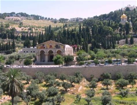 The Mt of Olives: Jerusalem Holy Sites