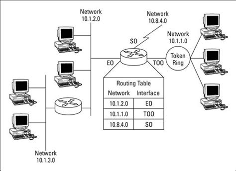 Looking into Routed versus Routing Protocols for the CCNA Exam - dummies