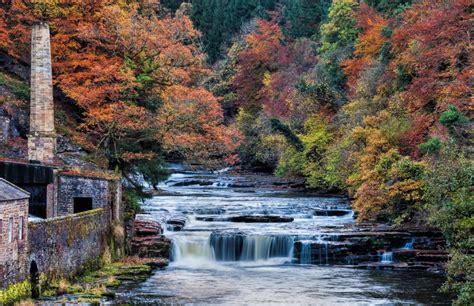 Free Images : landscape, tree, nature, wilderness, leaf, river, valley, stream, reflection ...