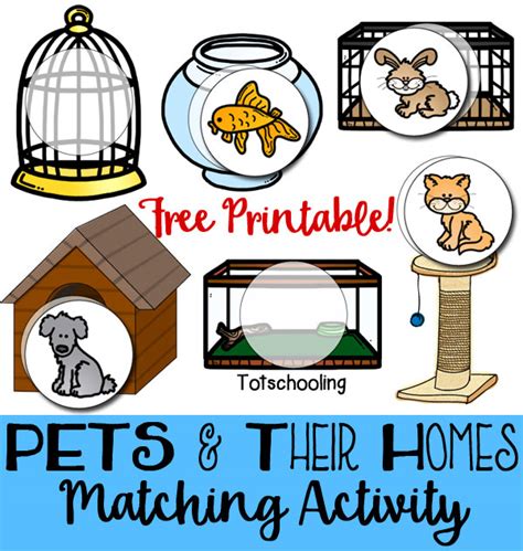 Learning About Animal Homes FREE Printables and Activities