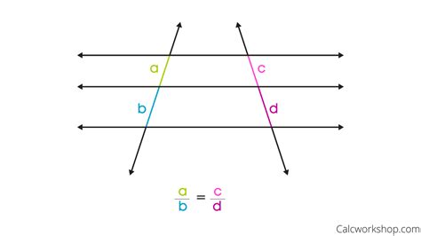 Triangle Similarity Theorems (23 Examples for Mastery!)