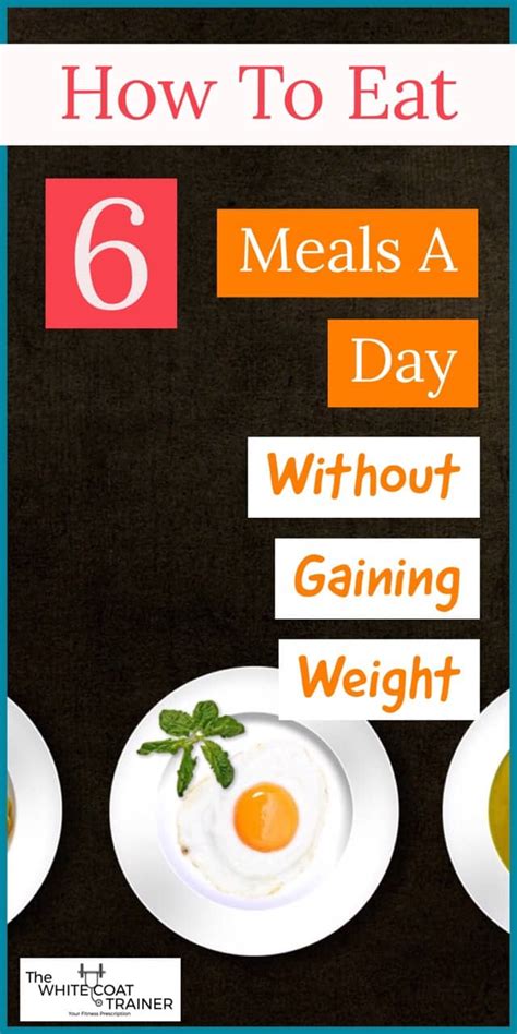 How To Eat 6 Meals A Day [Without Gaining Weight] - The White Coat Trainer