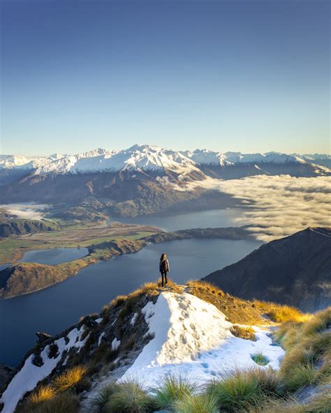 The Truth about the Wanaka Tree - What You Need to Know Before Visiting