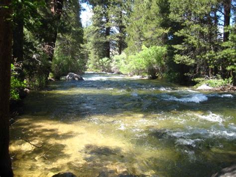 My favorite place to fish. Bridgeport, CA Robinson's Creek....*sigh* Oh ...