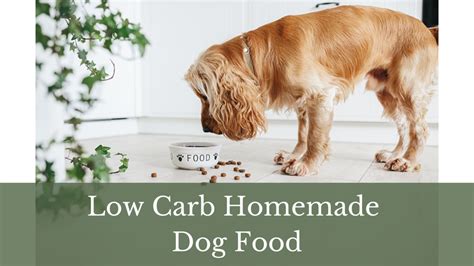 Low Carb Homemade Dog Food - Everything You Need to Know