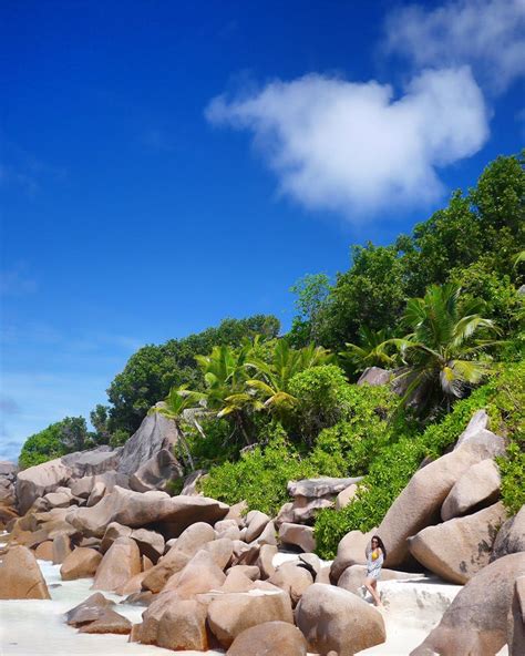 Grand Anse, Seychelles | Most beautiful beaches, Seychelles honeymoon ...