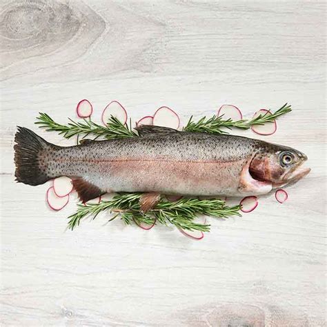 Easy Rainbow Trout Recipe 2023 - AtOnce