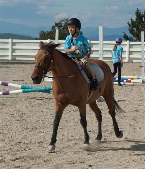 Photos of Horseback Riding Lessons - High Meadows Farms