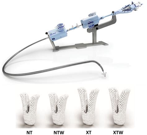 Percutaneous MitraClip Device or Surgical Mitral Valve Repair in ...