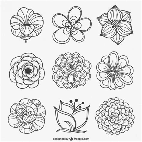 Download Free Vector Graphics, Background Vector Images | Flower ...