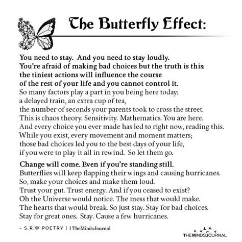 What is the Butterfly Effect - DesireeaddMonroe