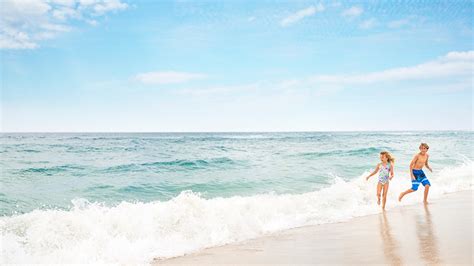 Dive into the Navarre Beach Marine Park - Navarre Beach | Florida's Most Relaxing Place